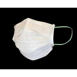 クラフィットマスク EFP-P 50枚入