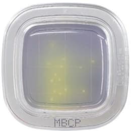 【販売終了】ぺたんチェック®DD 20枚 MBCP寒天培地 PD0022 20枚入