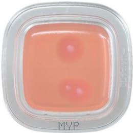 ぺたんチェック®DD 20枚 MYP寒天培地 PD0017 20枚入