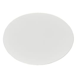 サーモフィッシャーサイエンティフィック ナルゲン メンブレンフィルター 0.45μm/47mm 100枚 DS0215-4045