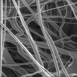 メルク ミリポア ポリプロピレンフィルター 100枚 AN1H04700