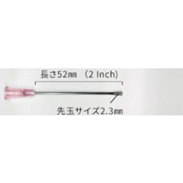 ディスポーザブル経口ゾンデ 4203 500入×2箱