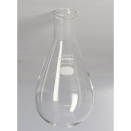 HARIO ナス形フラスコ 300mL