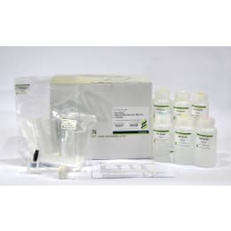 プラスミドDNA精製 FAFTE 001-1 10回