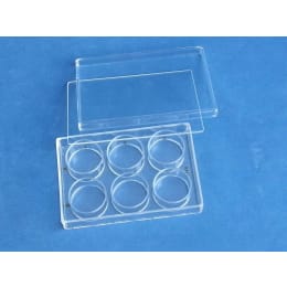 硝子製マイクロプレート 本体/蓋/中板付 B-3 6ウェル