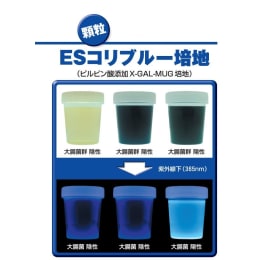 ESコリブルー100ボトル E-KW08 60入