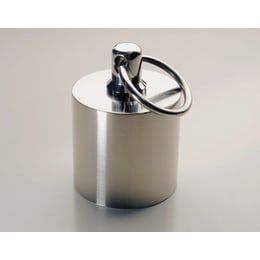 環付分銅B型(SUS) M1級 100g M1CSB-100GR