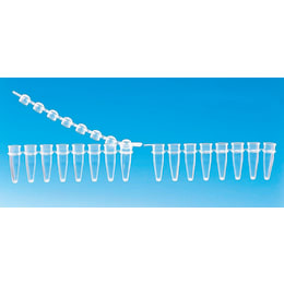 PCR8連チューブ 0.2mL 本体 1000本