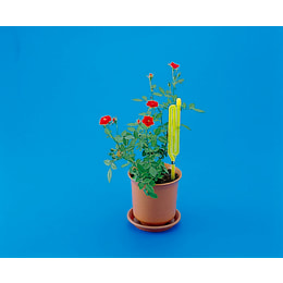 水まきタイム 一般鉢花用 PF2.3