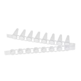 Eppendorf PCR Tube Strips 0.1mL フラットキャップストリップ付き 0030124820 120組