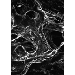 メルク ミリポア マイテックス 50枚 LSWP14250