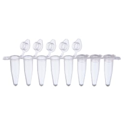 0.2mL PCR 8連チューブ フラットキャップ 137-231C 120入