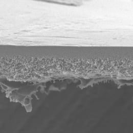 メルク ミリポア バイオマックス 5枚 PBMK09005