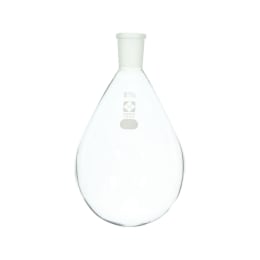 共通摺合なす形フラスコ 1000mL 29/42