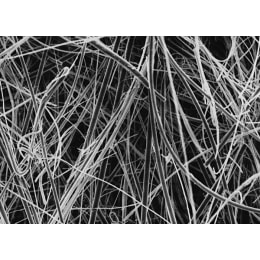 メルク ミリポア グラスファイバーフィルター 100枚 APFF02500