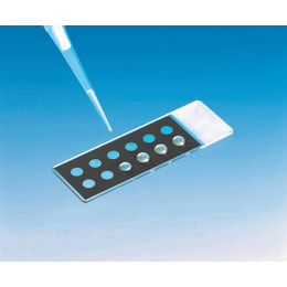 高撥水性印刷スライドグラス TF1205 100枚