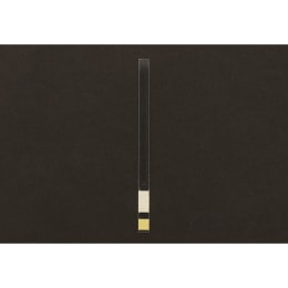 アクアチェックA アンモニア性窒素 50枚 671448