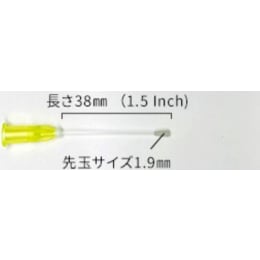 ディスポーザブル経口ゾンデ 5200 滅菌済 250入×2箱