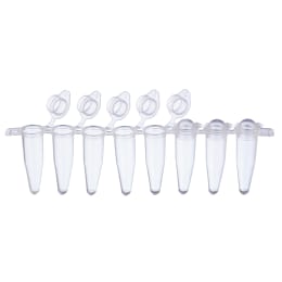 0.2mL PCR 8連チューブ ドームキャップ 137-232C 120入