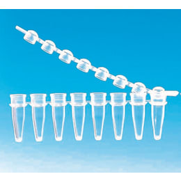 PCR8連チューブ・キャップ付 0.2mL 1000本