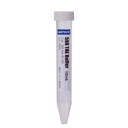 TAEバッファー 50×TAE Buffer 10mL×10本