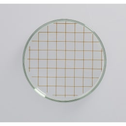 特殊印刷付シャーレー 10mm方眼