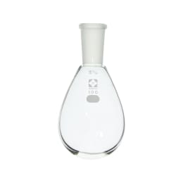 共通摺合なす形フラスコ 100mL 19/38