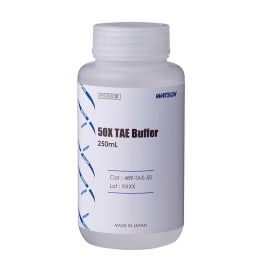 TAEバッファー 50×TAE Buffer 250mL