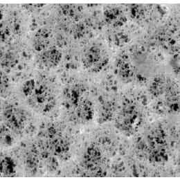 メルク ミリポア PVCメンブレンフィルター 100枚 PVC503700