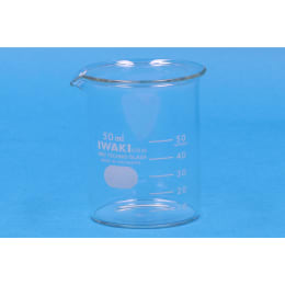 ビーカー 硝子製 50mL  1000BK50