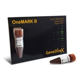 OneMARK B 調製済 600μLx1pk SD110-0100