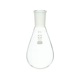 共通摺合なす形フラスコ 200mL 29/42