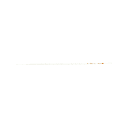 メスピペット カスタムA 普通目盛 3mL 021040-3A