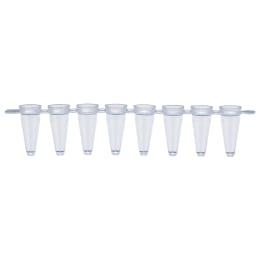 0.1mL PCR 8連チューブ 137-338C 120入