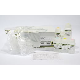 プラスミドDNA精製 FAPDE 001-1 300回