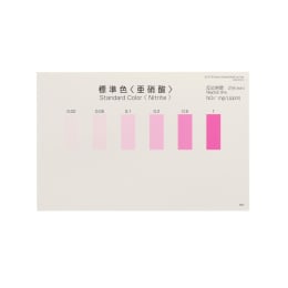 パックテスト標準色 亜硝酸用 5枚