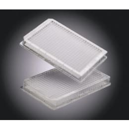 メルク ミリポア マルチスクリーンSEQ384フィルタープレート 10枚 S384SEQ10