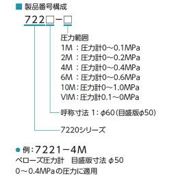フッ素樹脂ベローズ真空計 -0.1-0MPa F-2189-006