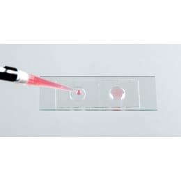 スライドウェル 2well 深さ0.25mm 25入