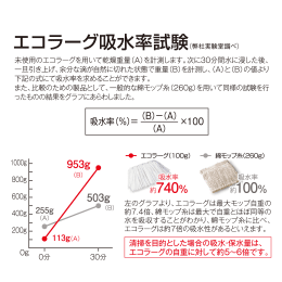 エコラーグ 24cm 10枚