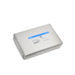 種子試験用ろ紙 #3645 110×170mm 100枚