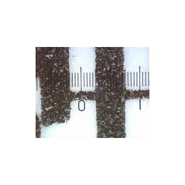 スケール枠付 0.05mm目盛板 TS-SP-M1