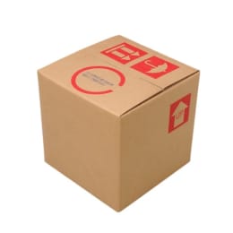 専用バロンダンボール 10L 10枚入 0364