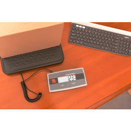 シッピングスケール i-C31M75RJP