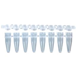PCR8連チューブ&8連フラットキャップ 0.2mL ナチュラル  MB-P08-B 960入