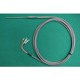 R35型 Pt100Ω 白金測温抵抗体 3.2×150 L3m