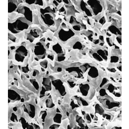 メルク ミリポア 疎水性デュラポア 1巻 GVHP00010