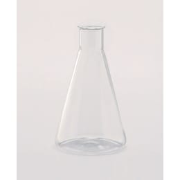 石英三角フラスコ 100mL