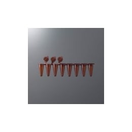 2Dコード付き微量保存用8連チューブ PCR-8SAC-FC-1-X-BC 120入