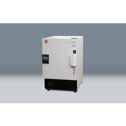 恒温恒湿器 IG421 211552